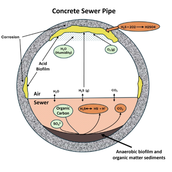 Concrete Sewer Pipe showing why adding oxygen helps to prevent H2S buildup