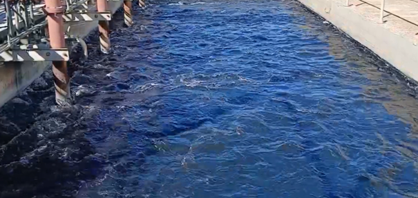 biological-wastewater-treatment