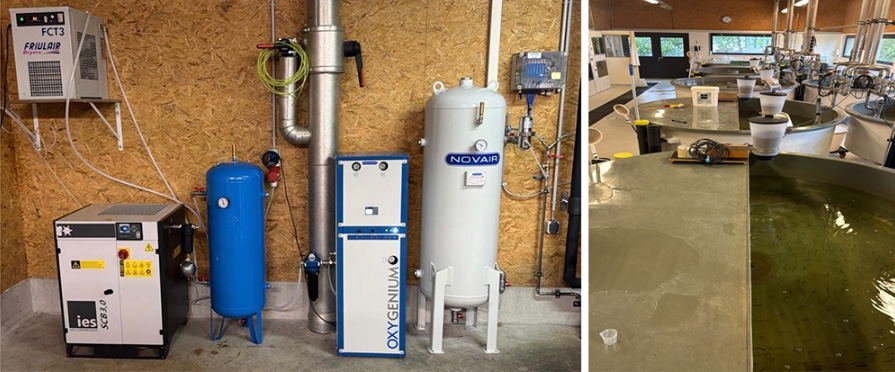 A small oxygen generator on a fish hatchery
