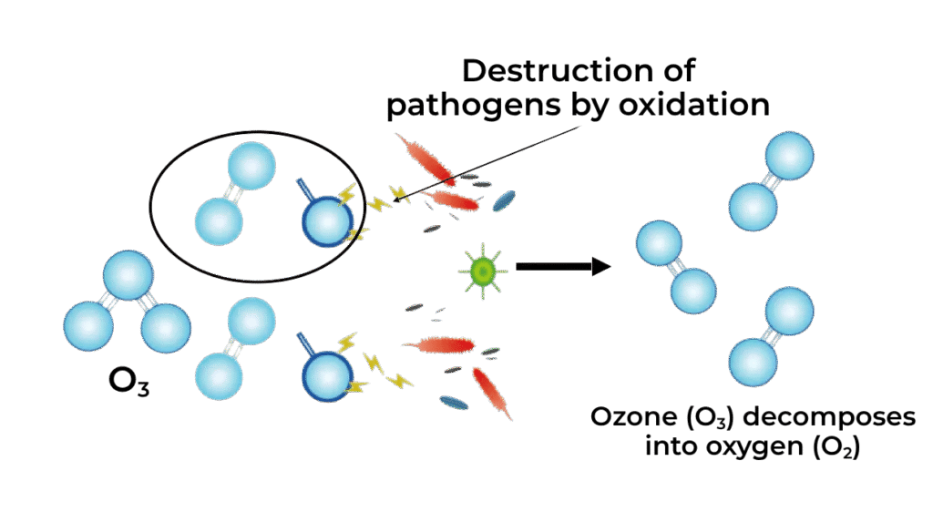 graphic showing destruction of pathogens by oxidation