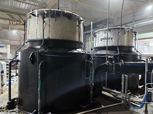 Featured image for “Ozone in Aquaculture: An Efficient Tool for Water Quality and Biosecurity”